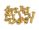 20x M3x6 ISO7380 goldene Linsenkopfschraube Stahl 12,9 Titan Nitrid beschichtet