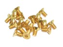 200x M3x5 M3x6 M3x8 M3x10 M3x12 Senkkopf Linsenkopf TIN Beschichtung gold
