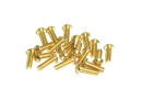20x M2,5x8 ISO7380 goldene Linsenkopfschrauben Stahl 12,9 Titan Nitrid beschichtet