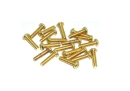 20x M2,5x10 ISO7380 goldene Linsenkopfschrauben Stahl 12,9 Titan Nitrid beschichtet