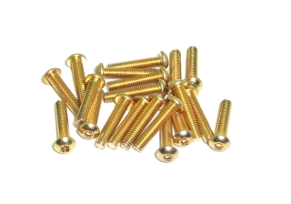 20x M2,5x12 ISO7380 goldene Linsenkopfschrauben Stahl 12,9 Titan Nitrid beschichtet