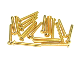 20x M3x25 ISO7380 goldene Linsenkopfschraube Stahl 12,9 TIN Beschichtung