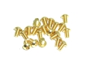 20x M2x4 ISO7380 goldene Linsenkopfschraube Stahl 12,9 Titan Nitrid beschichtet