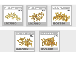 100x Linsenkopfschrauben M2,5x4 M2,5x6 M2,5x8 M2,5x10 M2,5x12 ISO7380 12,9 TIN gold